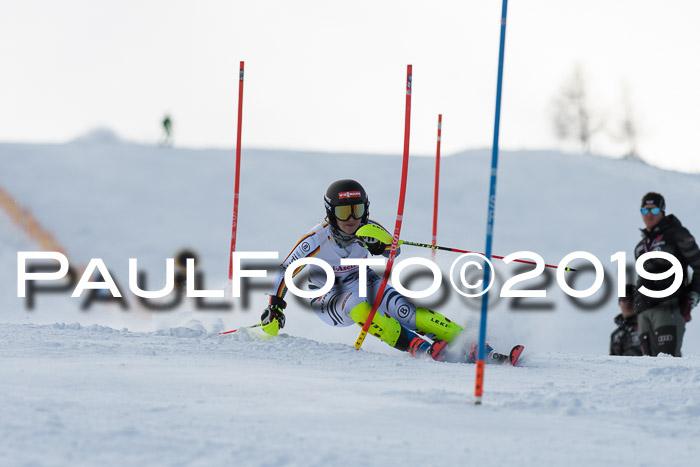 FIS Slalom + NJC Damen + FIS Herren 27.01.2019