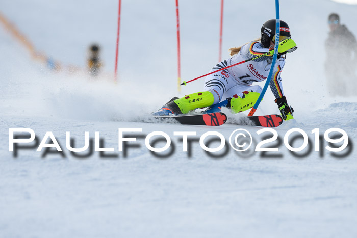 FIS Slalom + NJC Damen + FIS Herren 27.01.2019