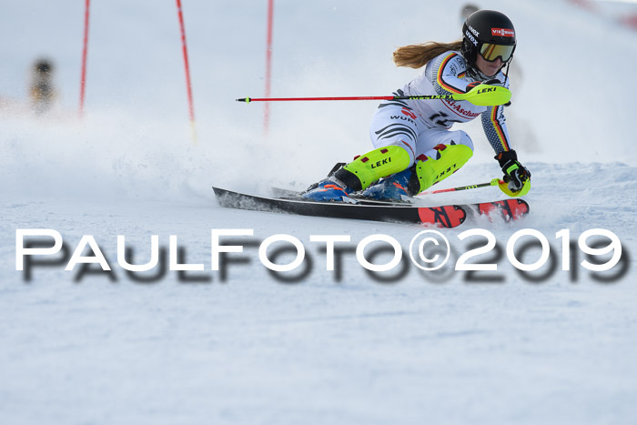 FIS Slalom + NJC Damen + FIS Herren 27.01.2019