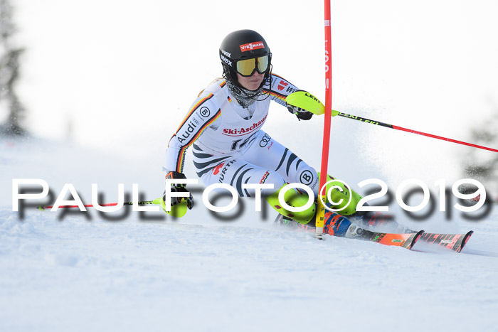 FIS Slalom + NJC Damen + FIS Herren 27.01.2019