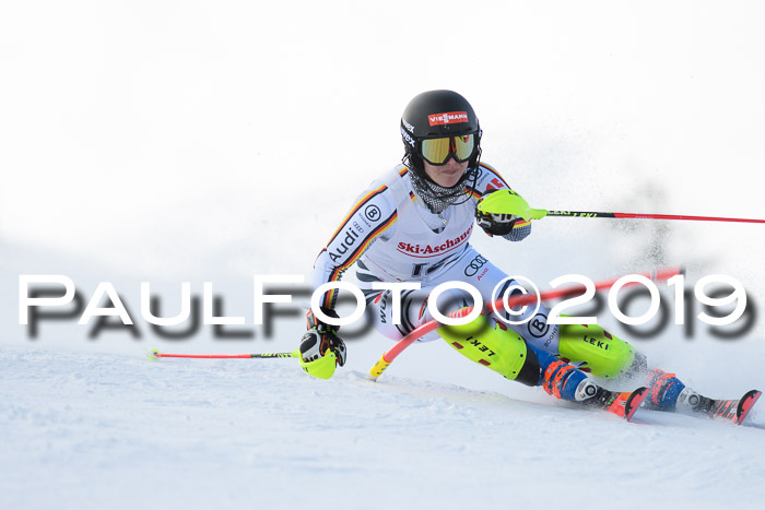 FIS Slalom + NJC Damen + FIS Herren 27.01.2019