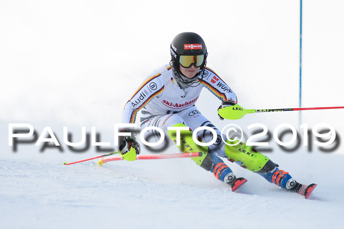 FIS Slalom + NJC Damen + FIS Herren 27.01.2019
