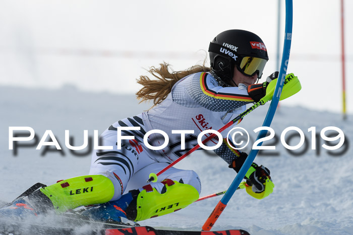 FIS Slalom + NJC Damen + FIS Herren 27.01.2019