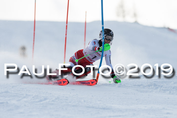 FIS Slalom + NJC Damen + FIS Herren 27.01.2019