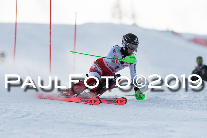 FIS Slalom + NJC Damen + FIS Herren 27.01.2019