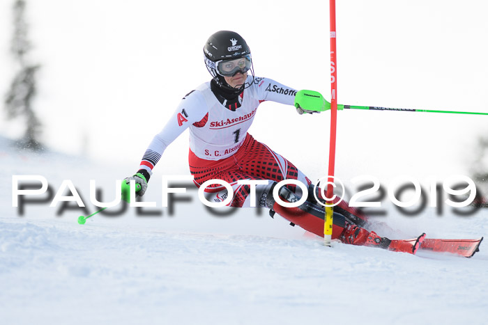 FIS Slalom + NJC Damen + FIS Herren 27.01.2019