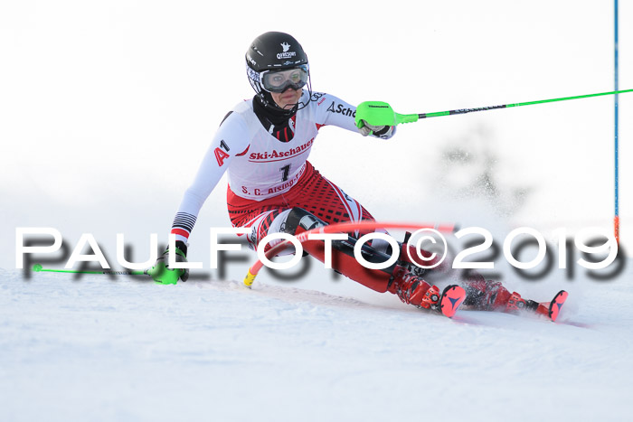 FIS Slalom + NJC Damen + FIS Herren 27.01.2019