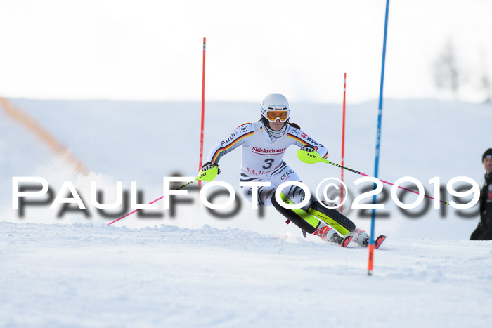 FIS Slalom + NJC Damen + FIS Herren 27.01.2019