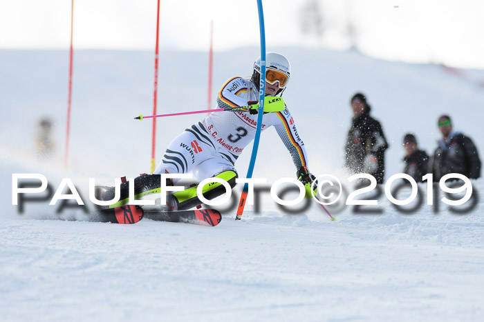 FIS Slalom + NJC Damen + FIS Herren 27.01.2019
