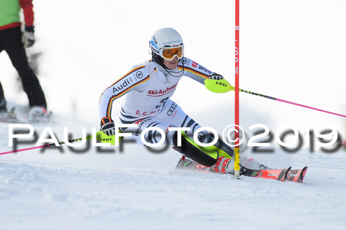FIS Slalom + NJC Damen + FIS Herren 27.01.2019