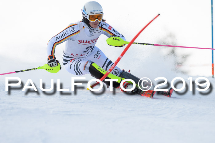 FIS Slalom + NJC Damen + FIS Herren 27.01.2019