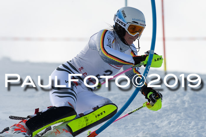 FIS Slalom + NJC Damen + FIS Herren 27.01.2019