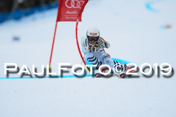 Int. FIS Rennen + NJC  AC Damen, FIS SG, Götschen, 01.02.2019