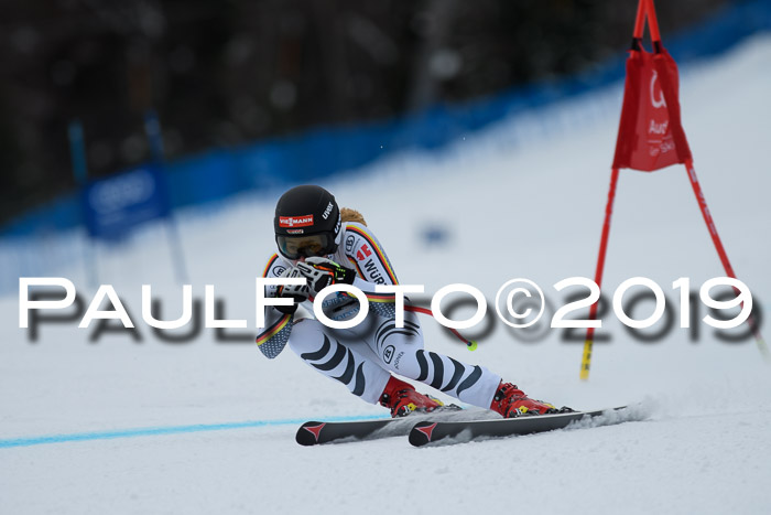 Int. FIS Rennen + NJC  AC Damen, FIS SG, Götschen, 01.02.2019