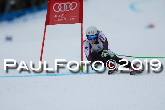 Int. FIS Rennen + NJC  AC Damen, FIS SG, Götschen, 01.02.2019