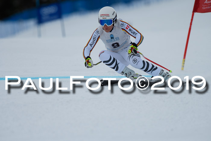 Int. FIS Rennen + NJC  AC Damen, FIS SG, Götschen, 01.02.2019