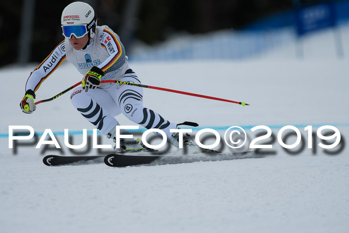 Int. FIS Rennen + NJC  AC Damen, FIS SG, Götschen, 01.02.2019