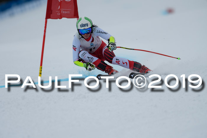 Int. FIS Rennen + NJC  AC Damen, FIS SG, Götschen, 01.02.2019