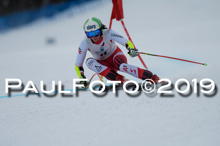 Int. FIS Rennen + NJC  AC Damen, FIS SG, Götschen, 01.02.2019