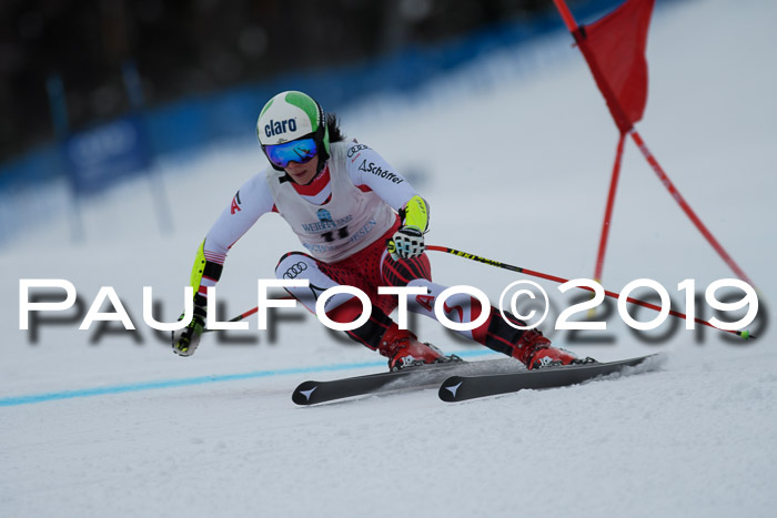Int. FIS Rennen + NJC  AC Damen, FIS SG, Götschen, 01.02.2019