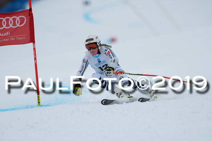 Int. FIS Rennen + NJC  AC Damen, FIS SG, Götschen, 01.02.2019