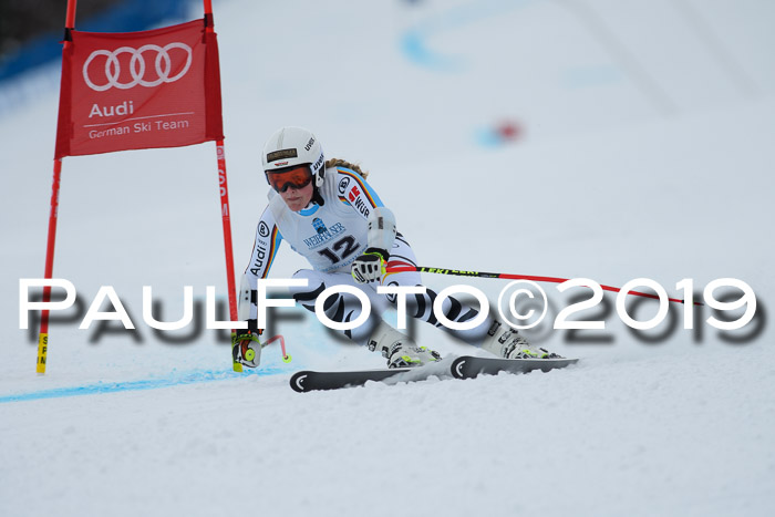 Int. FIS Rennen + NJC  AC Damen, FIS SG, Götschen, 01.02.2019