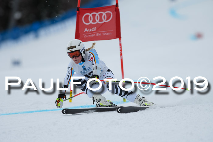Int. FIS Rennen + NJC  AC Damen, FIS SG, Götschen, 01.02.2019