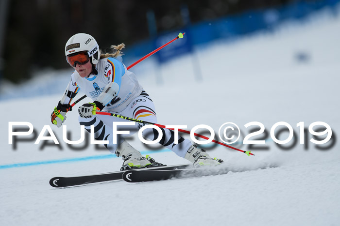 Int. FIS Rennen + NJC  AC Damen, FIS SG, Götschen, 01.02.2019