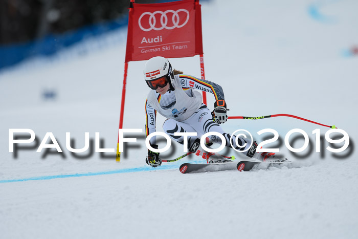 Int. FIS Rennen + NJC  AC Damen, FIS SG, Götschen, 01.02.2019