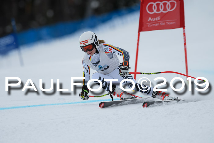 Int. FIS Rennen + NJC  AC Damen, FIS SG, Götschen, 01.02.2019