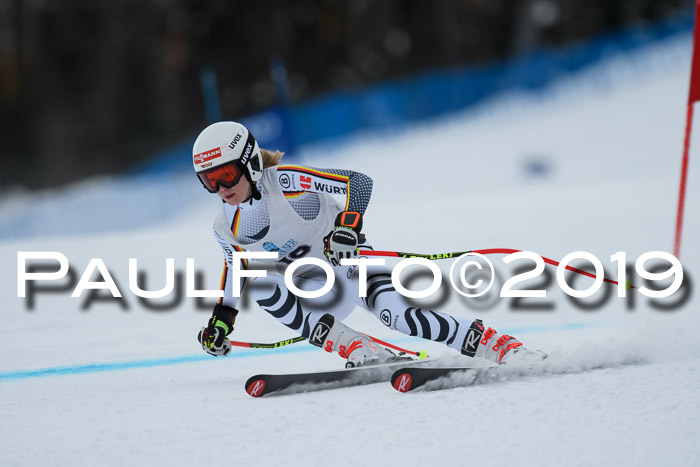 Int. FIS Rennen + NJC  AC Damen, FIS SG, Götschen, 01.02.2019