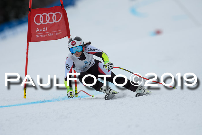 Int. FIS Rennen + NJC  AC Damen, FIS SG, Götschen, 01.02.2019