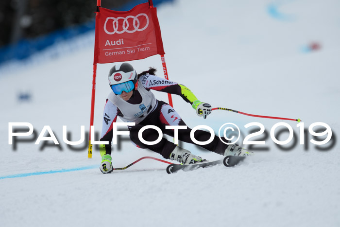 Int. FIS Rennen + NJC  AC Damen, FIS SG, Götschen, 01.02.2019