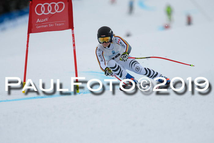 Int. FIS Rennen + NJC  AC Damen, FIS SG, Götschen, 01.02.2019