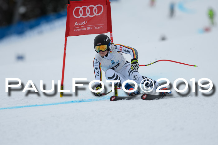 Int. FIS Rennen + NJC  AC Damen, FIS SG, Götschen, 01.02.2019
