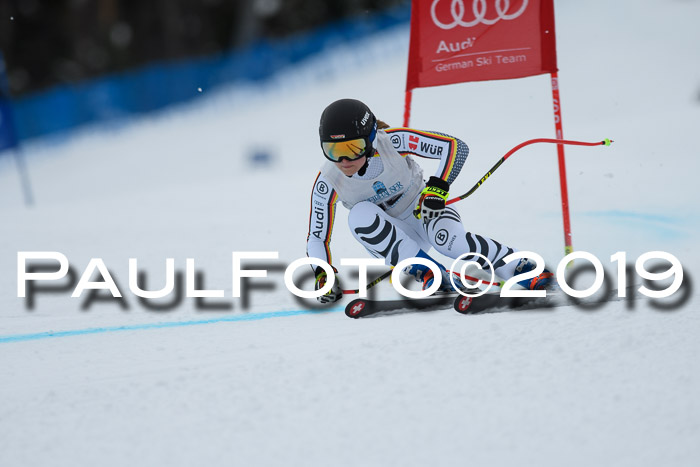 Int. FIS Rennen + NJC  AC Damen, FIS SG, Götschen, 01.02.2019