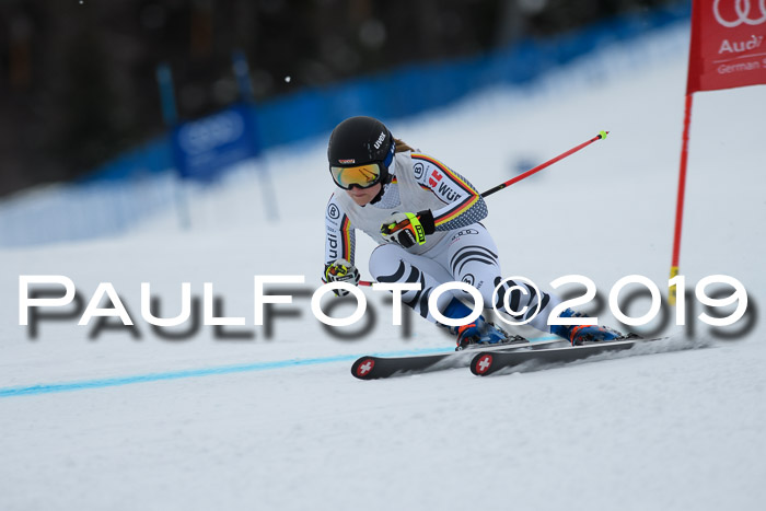 Int. FIS Rennen + NJC  AC Damen, FIS SG, Götschen, 01.02.2019