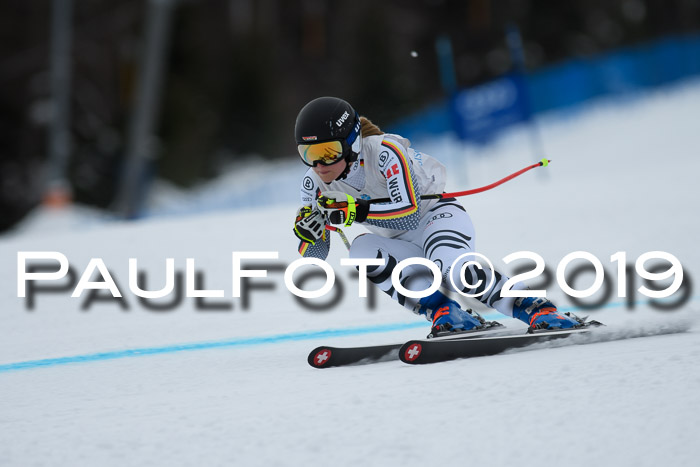 Int. FIS Rennen + NJC  AC Damen, FIS SG, Götschen, 01.02.2019