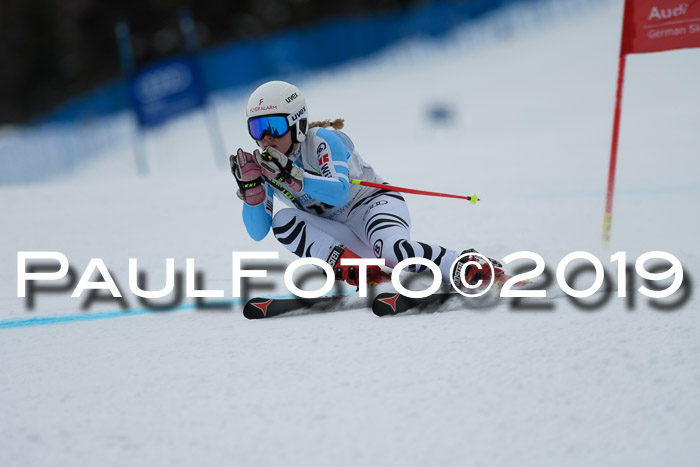 Int. FIS Rennen + NJC  AC Damen, FIS SG, Götschen, 01.02.2019