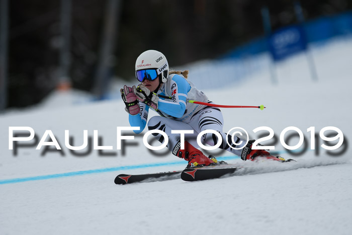 Int. FIS Rennen + NJC  AC Damen, FIS SG, Götschen, 01.02.2019