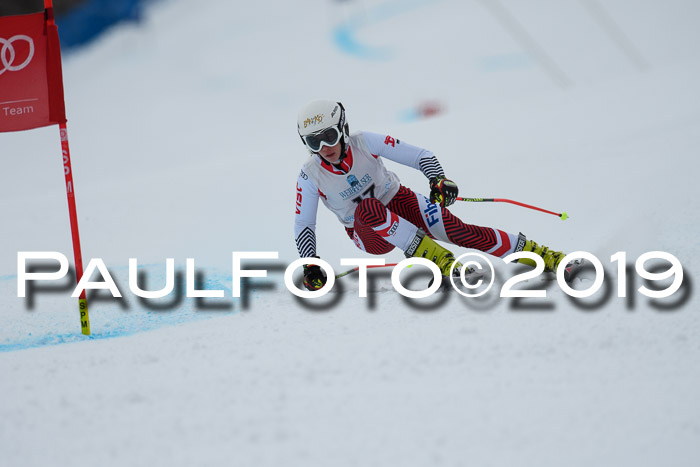 Int. FIS Rennen + NJC  AC Damen, FIS SG, Götschen, 01.02.2019
