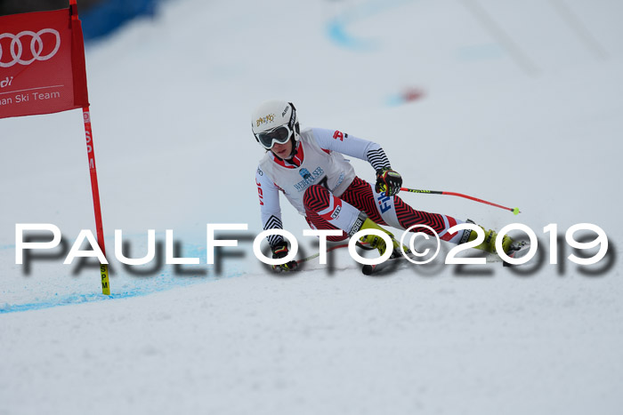 Int. FIS Rennen + NJC  AC Damen, FIS SG, Götschen, 01.02.2019