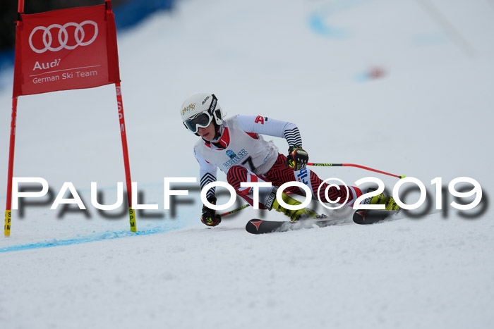 Int. FIS Rennen + NJC  AC Damen, FIS SG, Götschen, 01.02.2019
