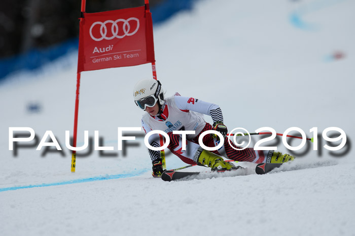 Int. FIS Rennen + NJC  AC Damen, FIS SG, Götschen, 01.02.2019