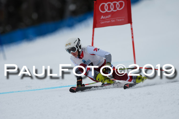 Int. FIS Rennen + NJC  AC Damen, FIS SG, Götschen, 01.02.2019