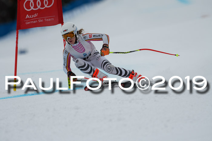 Int. FIS Rennen + NJC  AC Damen, FIS SG, Götschen, 01.02.2019