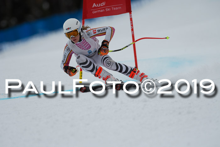 Int. FIS Rennen + NJC  AC Damen, FIS SG, Götschen, 01.02.2019