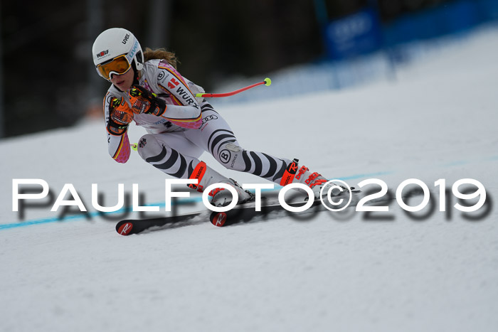 Int. FIS Rennen + NJC  AC Damen, FIS SG, Götschen, 01.02.2019