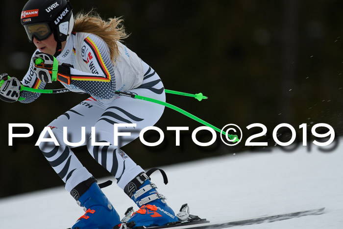 Int. FIS Rennen + NJC  AC Damen, FIS SG, Götschen, 01.02.2019