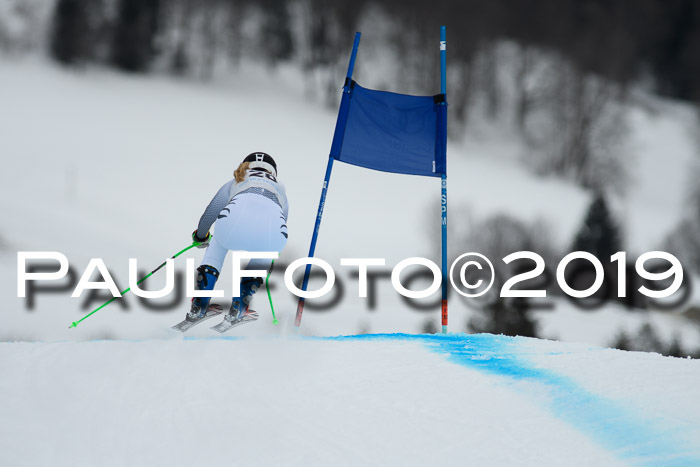 Int. FIS Rennen + NJC  AC Damen, FIS SG, Götschen, 01.02.2019